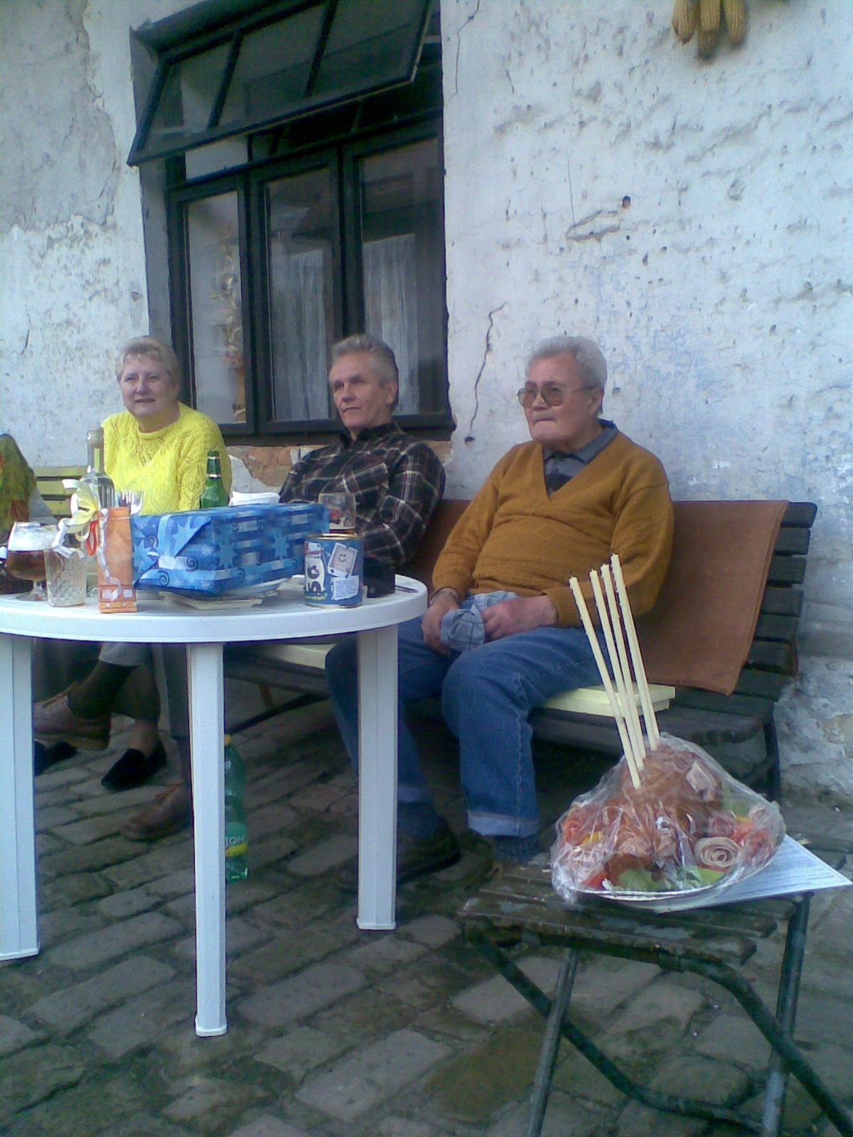 obraz009